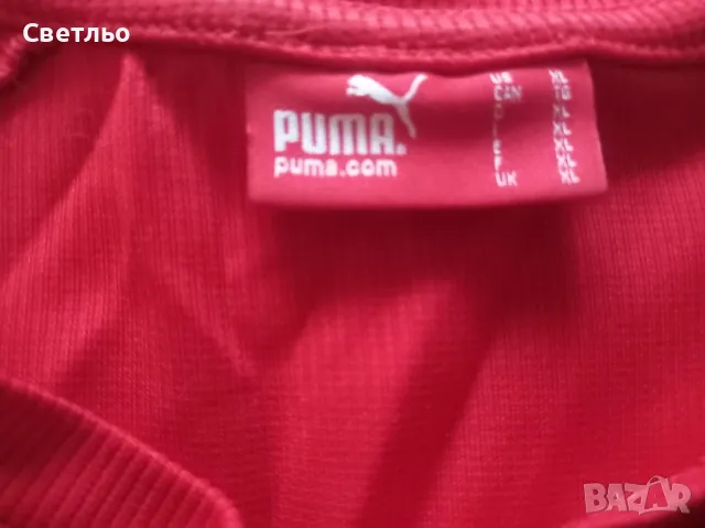 Puma Тениска Пума, снимка 3 - Тениски - 49940870