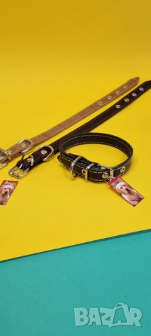 Продавам български нашийници, поводи и нагръдници за кучета, снимка 6 - За кучета - 53698659