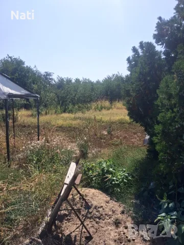 Продава се имот в село Каменец, област Плевен, снимка 11 - Къщи - 55876000