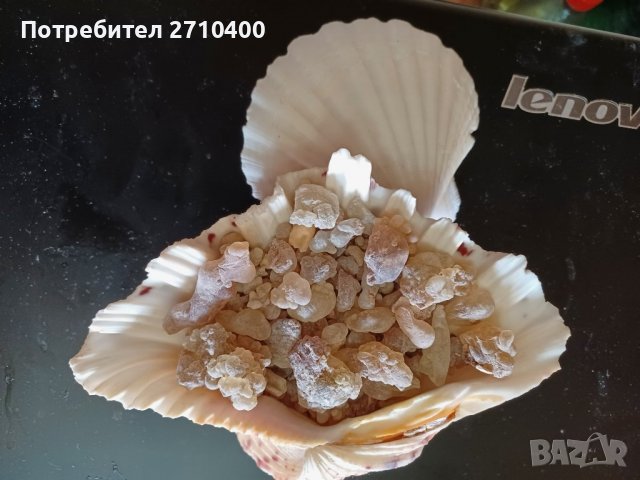 Тамян.Фаворитът.От Оман.Босвелия сакра.Арабски тамян Ходжари От Дофар, снимка 10 - Други - 37083493