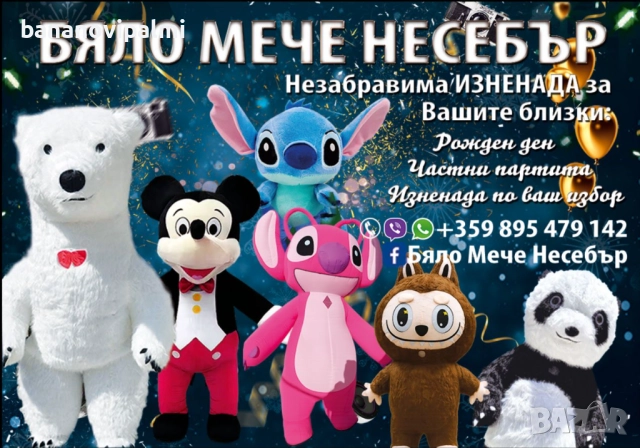 Изненада с Гигантска Бяла мечка 