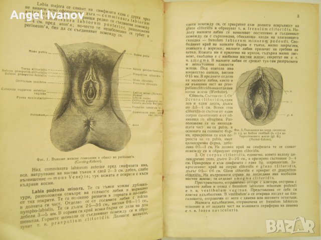 Основи на акушерството, снимка 5 - Специализирана литература - 44421763