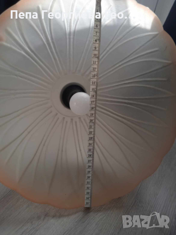 Полюлей, снимка 3 - Полилеи - 44715521