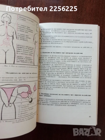 Желание за дете, снимка 3 - Специализирана литература - 50625500