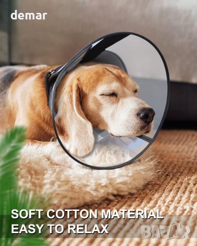 ROMANTIC BEAR Конус нашийник за кучета - размер М, снимка 3 - За кучета - 42175394