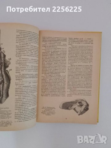 Ветеринарно - санитарна експертиза на хранителните продукти от животински произход ( 1ва част) , снимка 4 - Специализирана литература - 51213889