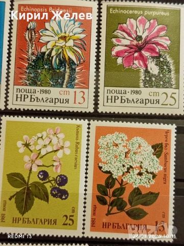 Стари пощенски марки без печат ЦВЕТЯ ВИЕТНАМ,НРБ за КОЛЕКЦИЯ 52072, снимка 6 - Филателия - 53208310