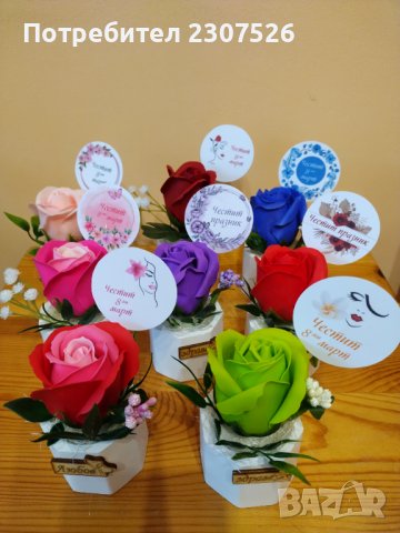 Рози, снимка 9 - Други - 44280830