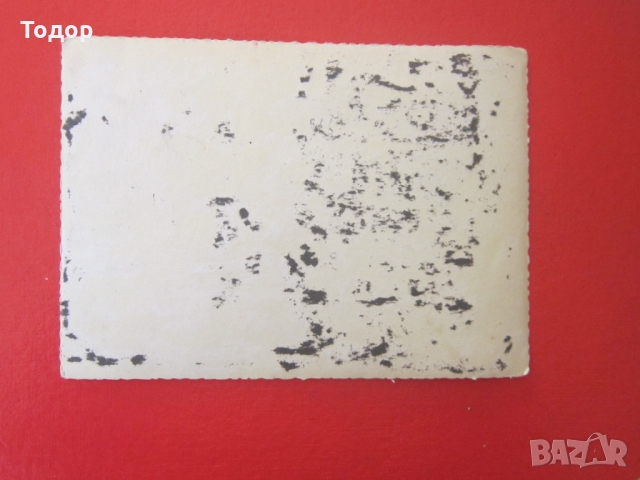 Стара снимка немски войник 3 Райх 23, снимка 4 - Колекции - 36043920