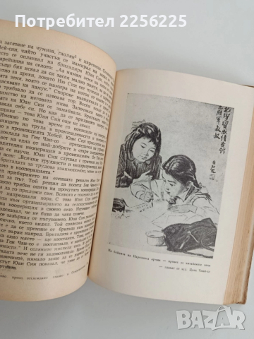 Републиката на петте звезди, снимка 2 - Художествена литература - 52219400