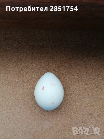 Колекционерско яйце от полускъпоцен камък