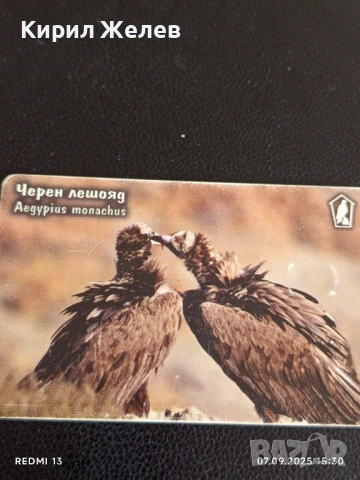 Три фонокарти МОБИКА тема ЗАСТРАШЕНИ ВИДОВЕ,ЧЕРЕН ЛЕШОЯД,ЛЕОПАРДОВ СМОК 12262, снимка 7 - Колекции - 51633304