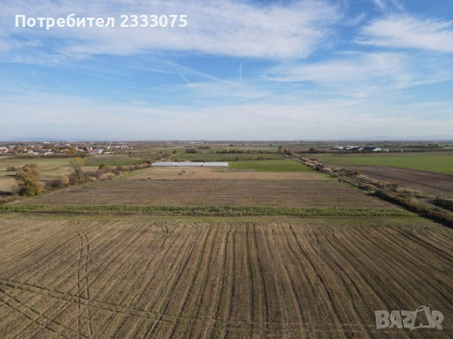 Продавам 24,860 дка земя в землището на с. Крислово, обл. Пловдив, снимка 9 - Земеделска земя - 53530333