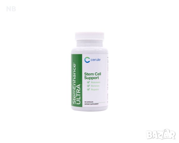 стволовоклетъчна терапия