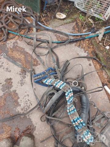 9-годишна кобила за продажба, снимка 7 - Коне - 53794001