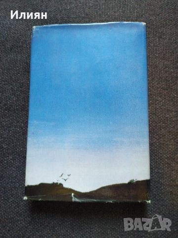 Хайнрих Ман- Малкият град, снимка 4 - Художествена литература - 36082886