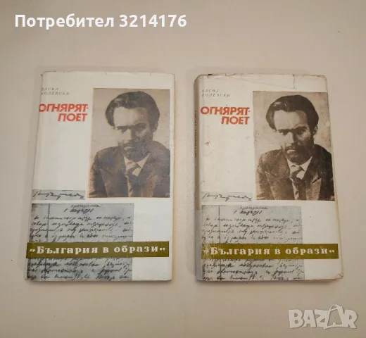 Дневник с продължение. Част 1-2 - Надежда Станева, снимка 5 - Специализирана литература - 48797925