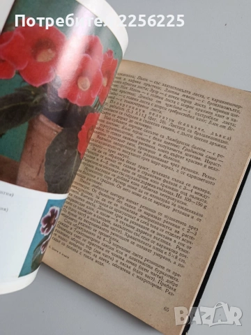 ЛОТ Стайни растения, снимка 3 - Специализирана литература - 53564703