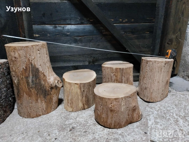  Дъбови Трупчета за месо и кокали, снимка 3 - Други - 52490951