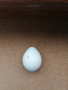 Колекционерско яйце от полускъпоцен камък