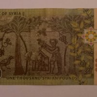 1000 паунда 2013 Сирия ,  арабска банкнота , снимка 2 - Нумизматика и бонистика - 40039820