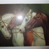 Стара красива цветна литография,коне, нова рамка,26х20см., снимка 3 - Картини - 35681709