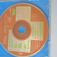 Darrell Evans ‎– You Are I Am - аудио диск ( US Rock, 1998г.), снимка 2 - CD дискове - 42293773