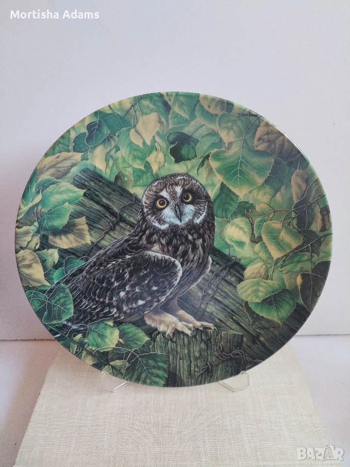 Декоративна чиния "Късоухата сова", снимка 1
