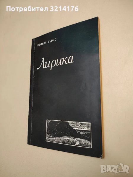 Лирика - Робърт Бърнс, снимка 1