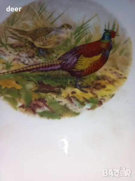 Порцеланова чиния с картинка, снимка 1