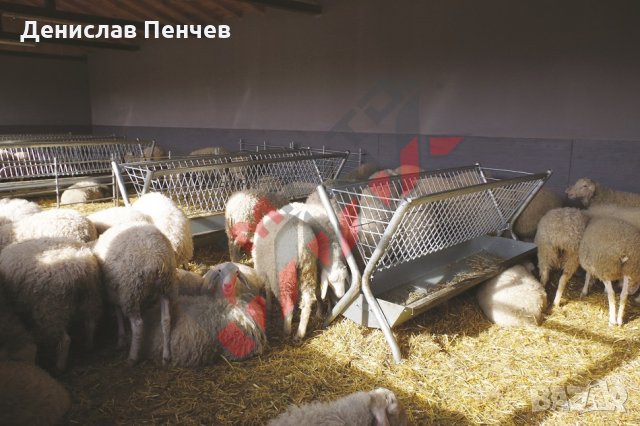 Хранилки/ясли за овце, снимка 7 - За селскостопански - 34655250