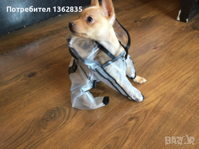 НОВ прозрачен дъждобран за куче от Италия размер S , снимка 3 - За кучета - 51972713