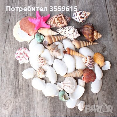 морски мидички по 10 стотинки , снимка 1