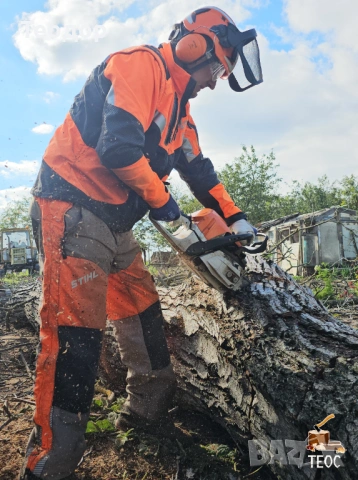 Рязане на опасни дървета и почистване на дворове – Варна, снимка 2 - Хамалски услуги - 53670302