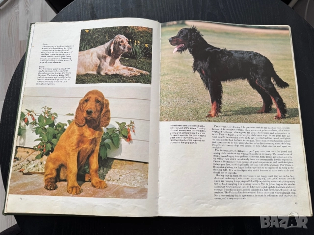 Кинология - книги и списания за кучето и котката, снимка 3 - Специализирана литература - 51950834