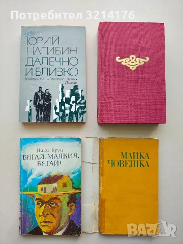 Бягай, малкия бягай! - Ники Круц , снимка 2 - Художествена литература - 56113918