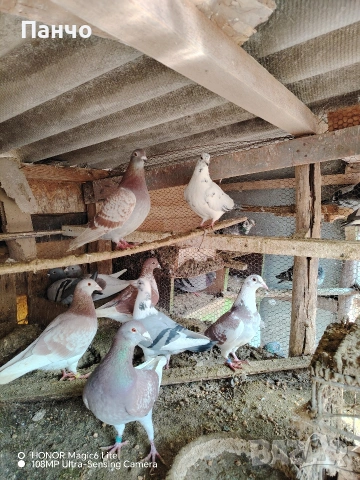 Продавам Пощи