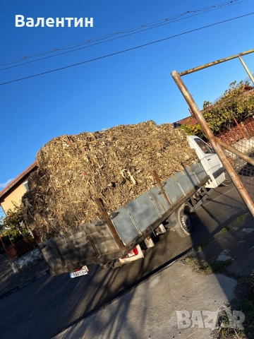 Продавам Бали царевичак