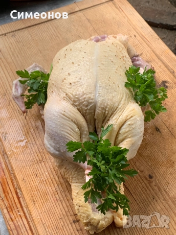 Патици,Пуйки , снимка 7 - Патици и гъски - 51881612