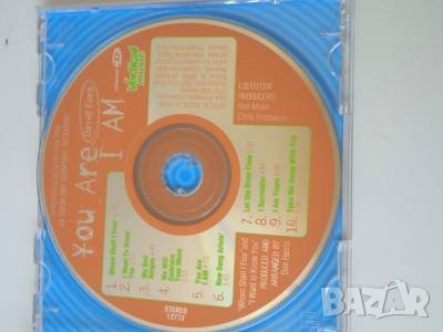 Darrell Evans ‎– You Are I Am - аудио диск ( US Rock, 1998г.), снимка 2 - CD дискове - 42293773