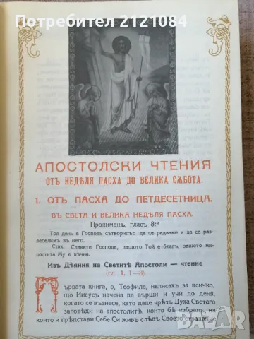 Апостол / Апостолски чтения за всички дни на годината , снимка 4 - Специализирана литература - 49415135