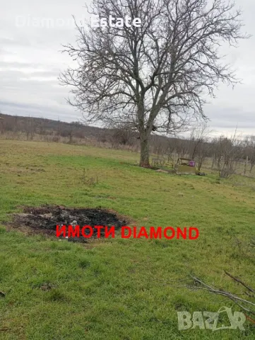 Двуетажна къща в село Димитриево общ. Чирпан, снимка 5 - Къщи - 48612242