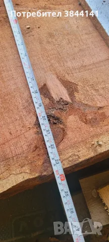 Секвоя янове 120/ 60-40, снимка 10 - Дърводелски услуги - 49915678