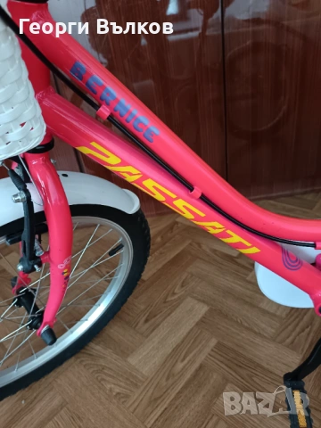 Детски велосипед Passati Bernice 20'', снимка 5 - Велосипеди - 53212008
