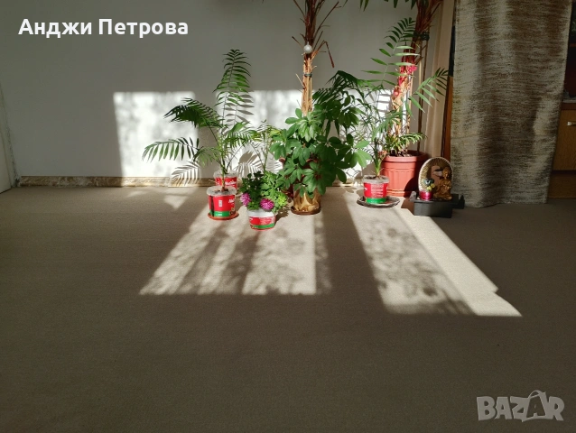 Двустаен в топ центъра на София, снимка 5 - Апартаменти - 53641894