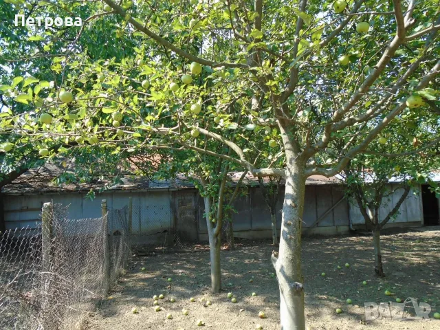 Продавам къща с 2.5 дка двор в село Селановци, снимка 9 - Къщи - 56233421