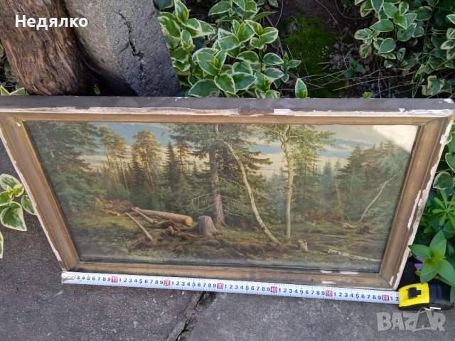 И.Шишкин,Рубка леса, картина, репродукция,1965г, снимка 2 - Антикварни и старинни предмети - 40356347