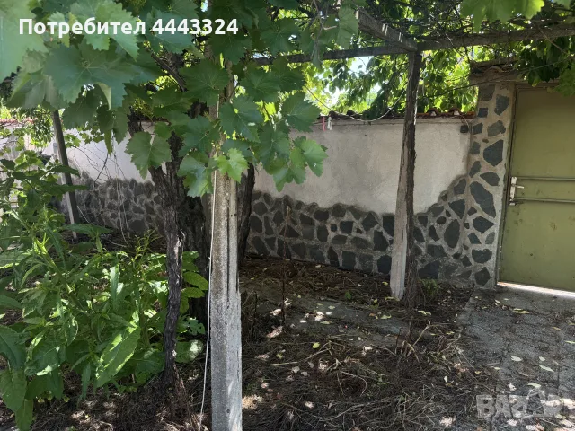Продавам къща в с.Царимир, снимка 9 - Къщи - 55754119