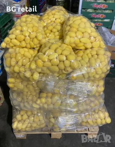 Продаваме обелени и нарязани картофи, снимка 5 - Домашни продукти - 48450961