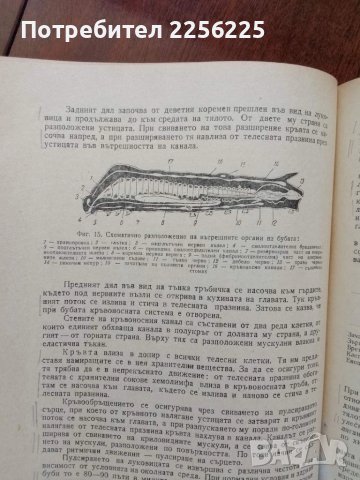 ЛОТ Бубарство, снимка 3 - Специализирана литература - 50959734